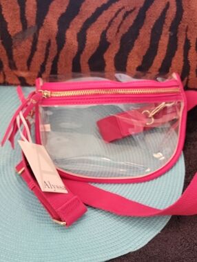Alyssa Clear Pink Crossbody Bag with Gold Hardware